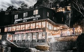 Bernti'S Mountain Inn